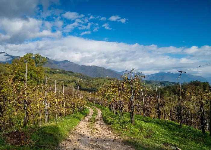 Tegorzo Ξενοδοχείο Fener